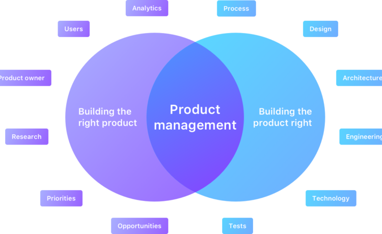 Product management courses online